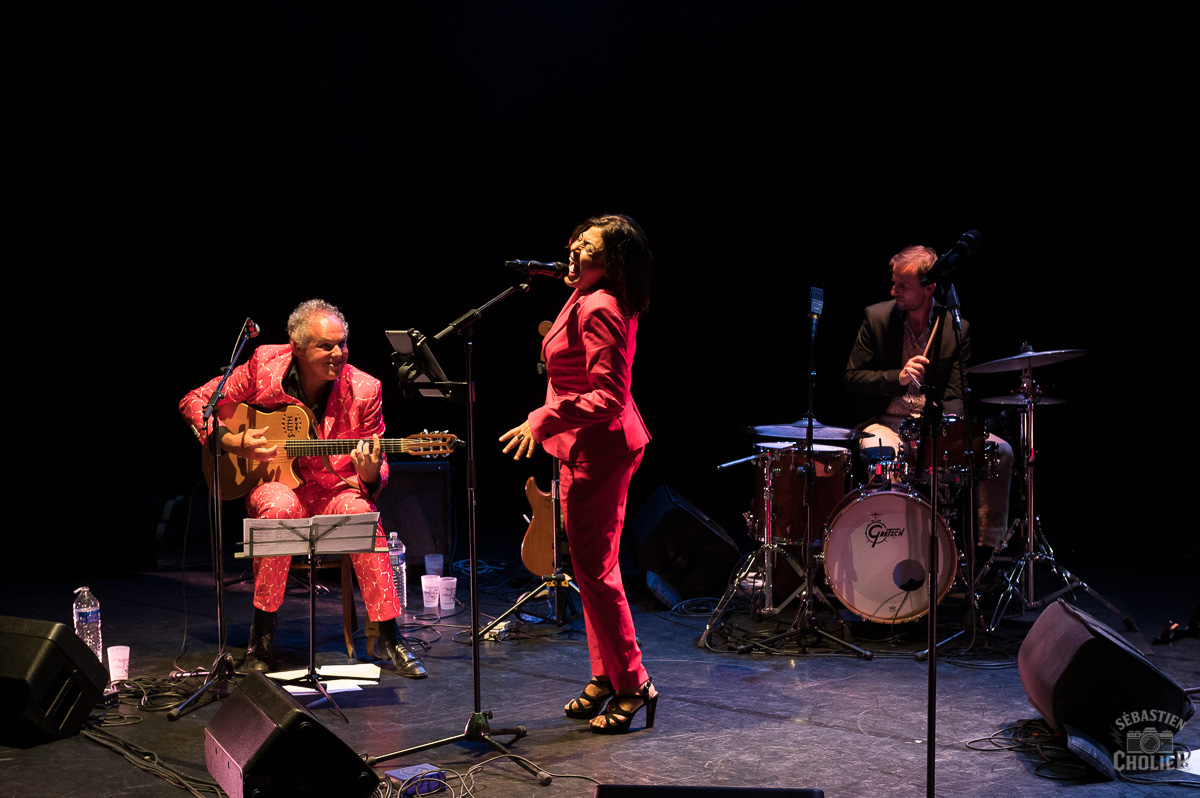 Brassens dans tous ses états